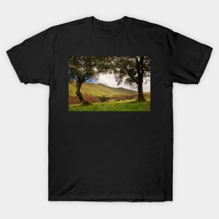 Pen y Fan and Corn Du T-Shirt